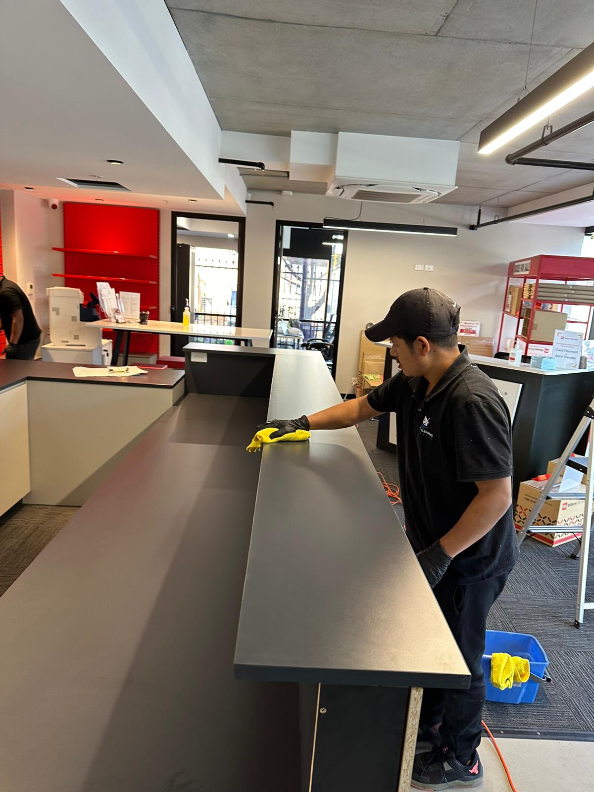 Professional Cleaning Services